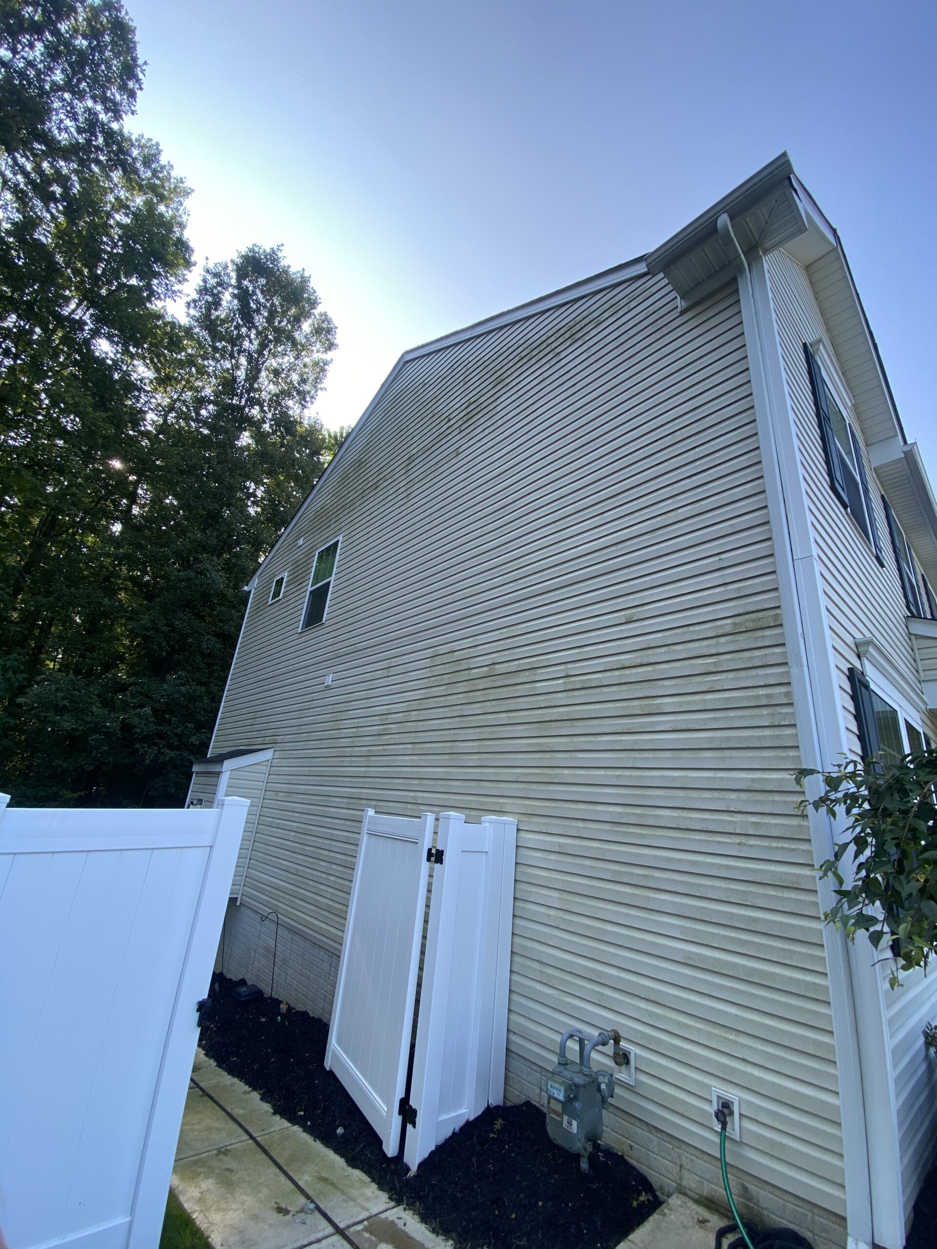 Before image