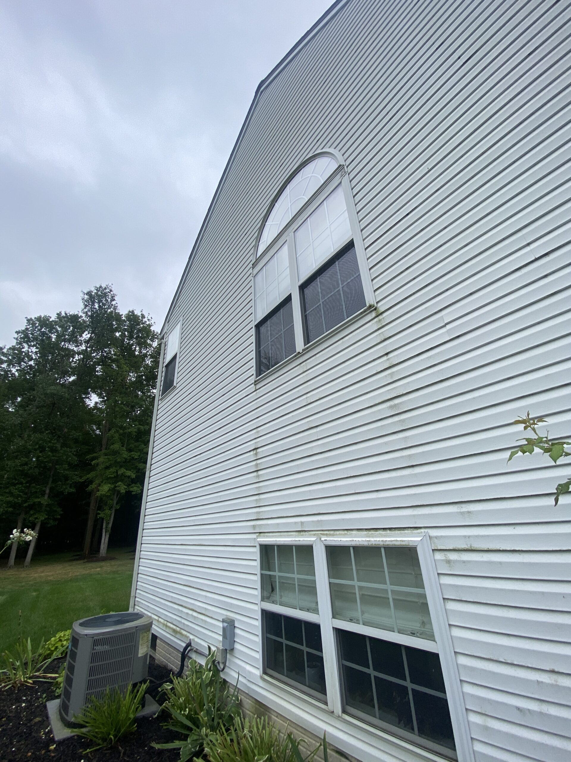 Before image